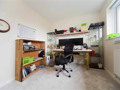 Picture 15